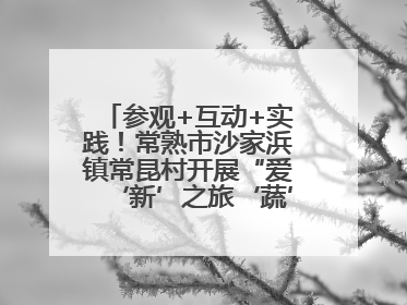 参观+互动+实践！常熟市沙家浜镇常昆村开展“爱‘新’之旅‘蔬’适生活”参观学习活动