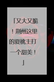 又大又脆！荆州这里的夏桃主打一个甜美！