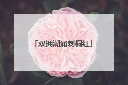 双拥潮涌刺桐红