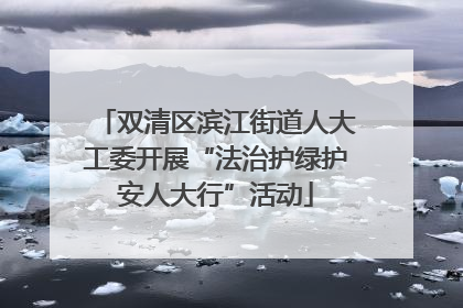 双清区滨江街道人大工委开展“法治护绿护安人大行”活动