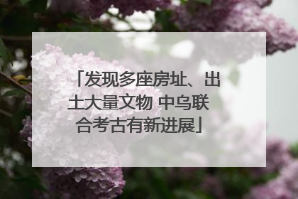 发现多座房址、出土大量文物 中乌联合考古有新进展