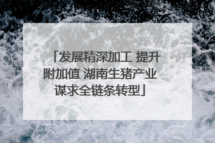 发展精深加工 提升附加值 湖南生猪产业谋求全链条转型