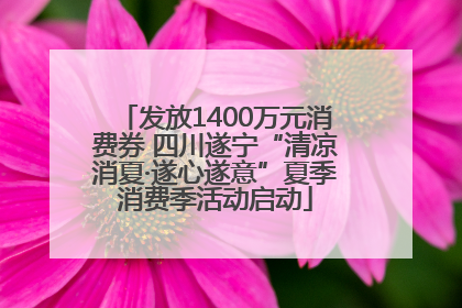 发放1400万元消费券 四川遂宁“清凉消夏·遂心遂意”夏季消费季活动启动