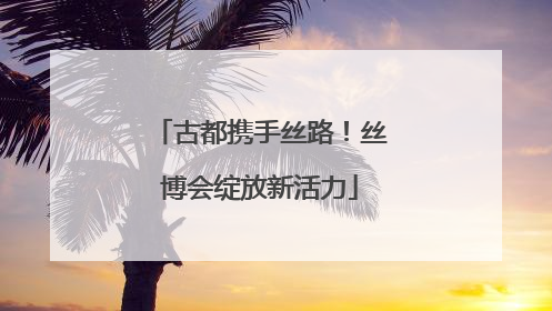 古都携手丝路！丝博会绽放新活力