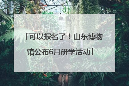 可以报名了！山东博物馆公布6月研学活动