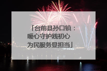 台前县孙口镇：暖心守护践初心 为民服务显担当