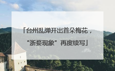 台州乱弹开出首朵梅花，“浙婺现象”再度续写