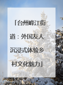 台州峰江街道：外国友人沉浸式体验乡村文化魅力