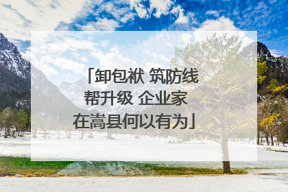 卸包袱 筑防线 帮升级 企业家在嵩县何以有为
