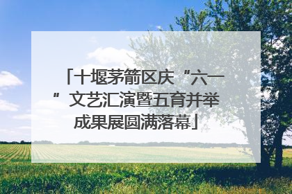 十堰茅箭区庆“六一”文艺汇演暨五育并举成果展圆满落幕