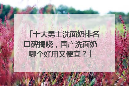 十大男士洗面奶排名口碑揭晓，国产洗面奶哪个好用又便宜？