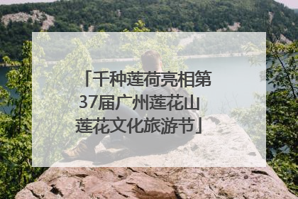 千种莲荷亮相第37届广州莲花山莲花文化旅游节