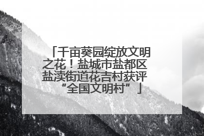 千亩葵园绽放文明之花！盐城市盐都区盐渎街道花吉村获评“全国文明村”