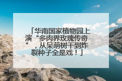 华南国家植物园上演“多肉界玫瑰传奇”，从呆萌树干到炸裂种子全是戏！