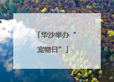 华沙举办“宠物日”