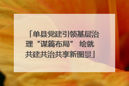 单县党建引领基层治理“谋篇布局” 绘就共建共治共享新图景
