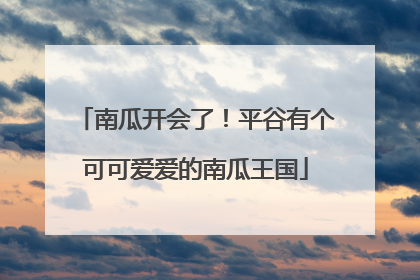 南瓜开会了！平谷有个可可爱爱的南瓜王国