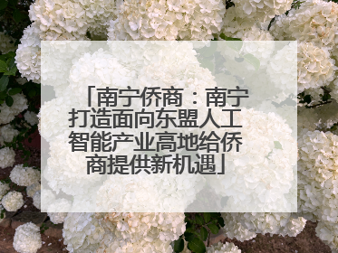 南宁侨商：南宁打造面向东盟人工智能产业高地给侨商提供新机遇