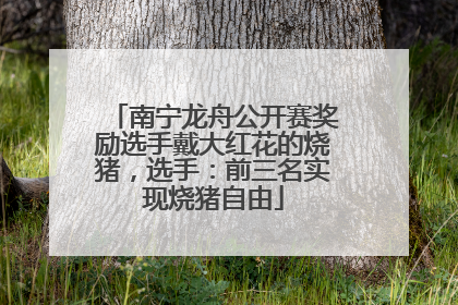 南宁龙舟公开赛奖励选手戴大红花的烧猪，选手：前三名实现烧猪自由