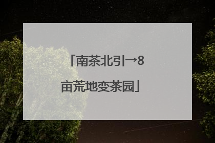 南茶北引→8亩荒地变茶园