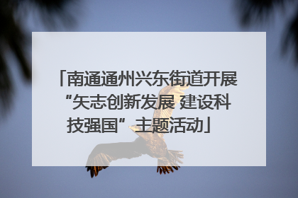 南通通州兴东街道开展“矢志创新发展 建设科技强国”主题活动