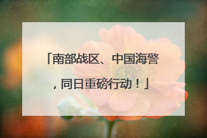 南部战区、中国海警，同日重磅行动！