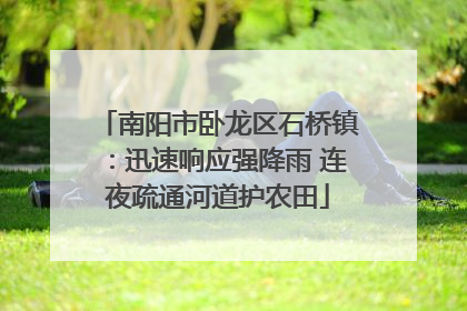 南阳市卧龙区石桥镇：迅速响应强降雨 连夜疏通河道护农田
