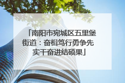 南阳市宛城区五里堡街道：奋楫笃行勇争先 实干奋进结硕果