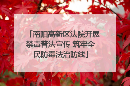 南阳高新区法院开展禁毒普法宣传 筑牢全民防毒法治防线