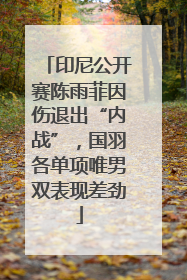 印尼公开赛陈雨菲因伤退出“内战”，国羽各单项唯男双表现差劲