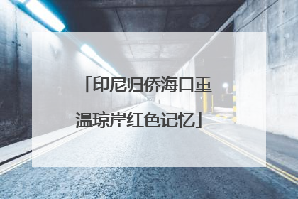印尼归侨海口重温琼崖红色记忆