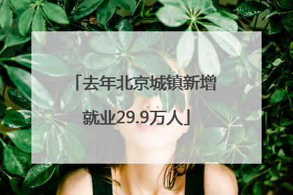 去年北京城镇新增就业29.9万人