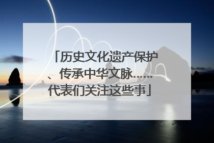 历史文化遗产保护、传承中华文脉……代表们关注这些事