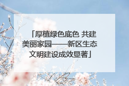 厚植绿色底色 共建美丽家园——新区生态文明建设成效显著
