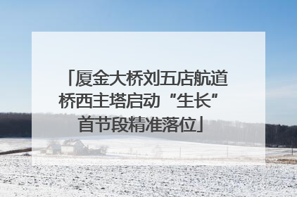厦金大桥刘五店航道桥西主塔启动“生长” 首节段精准落位