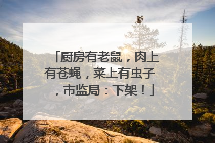 厨房有老鼠，肉上有苍蝇，菜上有虫子，市监局：下架！