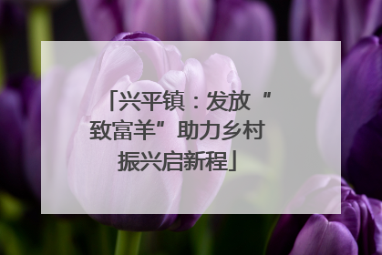 兴平镇：发放“致富羊”助力乡村振兴启新程