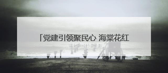 党建引领聚民心 海棠花红映凯马！凯马社区第三届邻里生活节谱写幸福新篇章