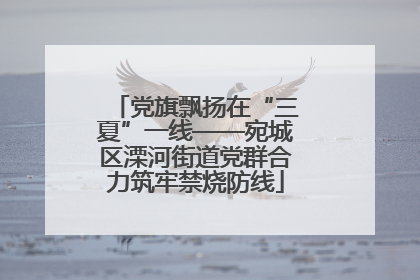 党旗飘扬在“三夏”一线——宛城区溧河街道党群合力筑牢禁烧防线