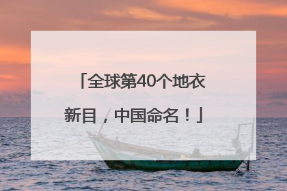全球第40个地衣新目，中国命名！