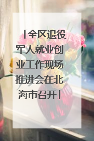 全区退役军人就业创业工作现场推进会在北海市召开