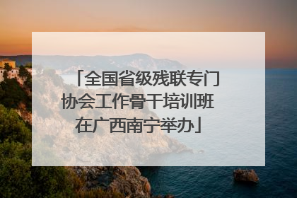 全国省级残联专门协会工作骨干培训班在广西南宁举办