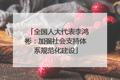全国人大代表李鸿彬：加强社会支持体系规范化建设