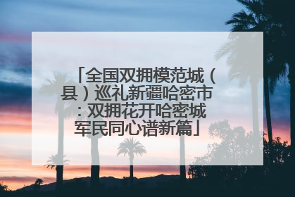 全国双拥模范城（县）巡礼新疆哈密市：双拥花开哈密城 军民同心谱新篇