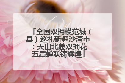 全国双拥模范城（县）巡礼新疆沙湾市：天山北麓双拥花 五届蝉联铸辉煌