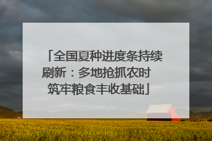 全国夏种进度条持续刷新：多地抢抓农时 筑牢粮食丰收基础