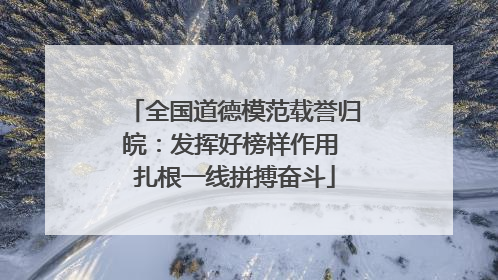 全国道德模范载誉归皖：发挥好榜样作用 扎根一线拼搏奋斗