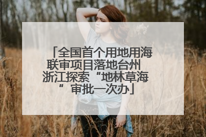 全国首个用地用海联审项目落地台州 浙江探索“地林草海”审批一次办