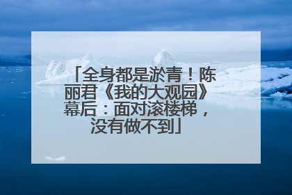 全身都是淤青！陈丽君《我的大观园》幕后：面对滚楼梯，没有做不到