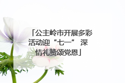 公主岭市开展多彩活动迎“七一” 深情礼赞颂党恩